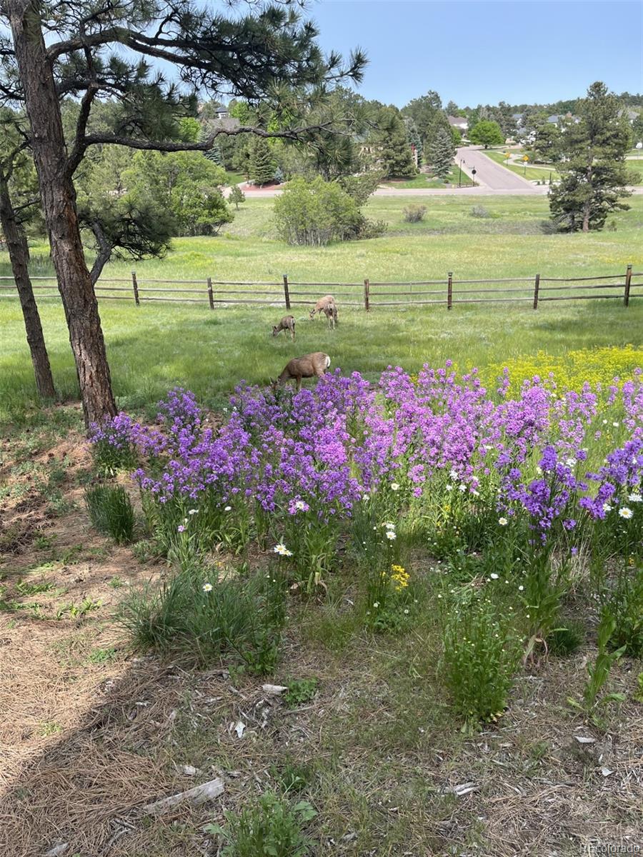 5213 Pinyon Jay Road Parker CO 80134