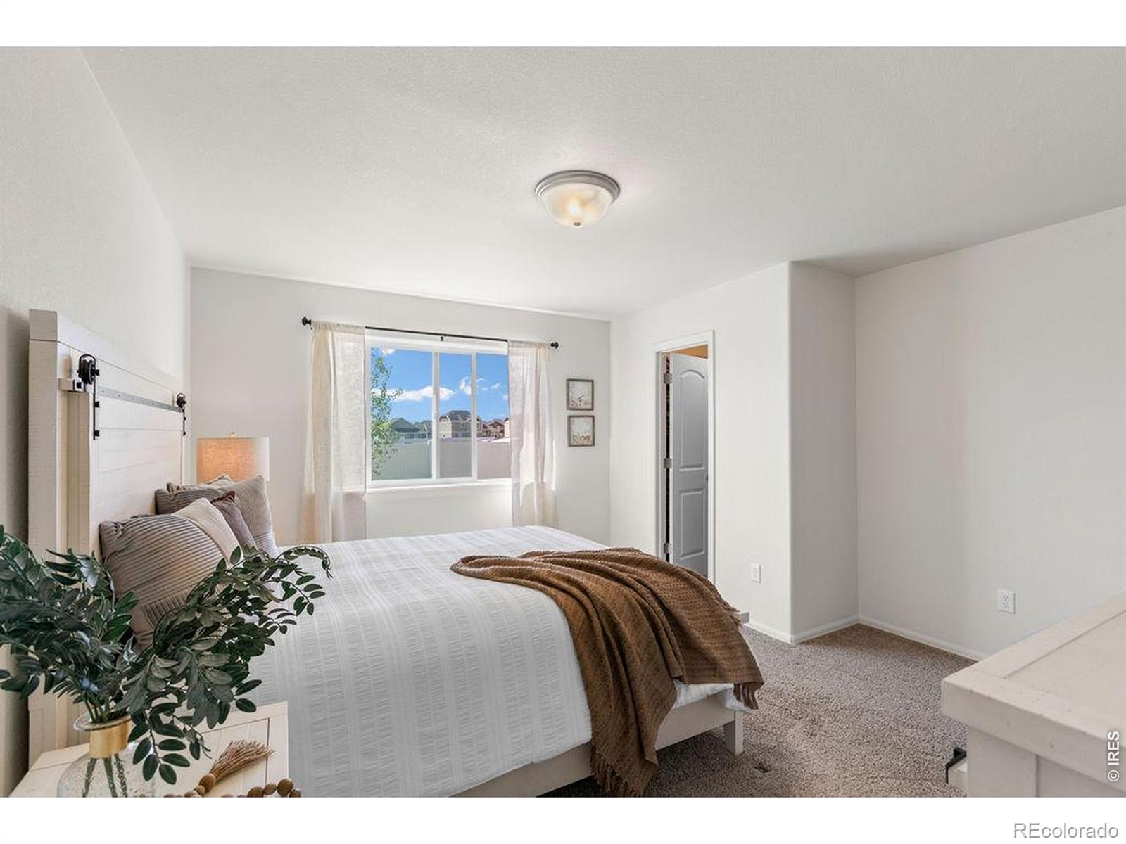 1113 Tur Street Severance CO 80550
