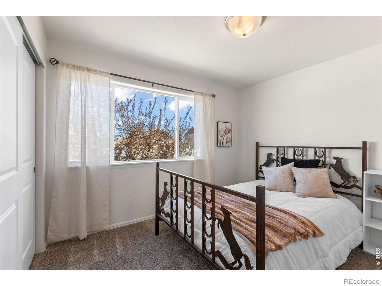1113 Tur Street Severance CO 80550