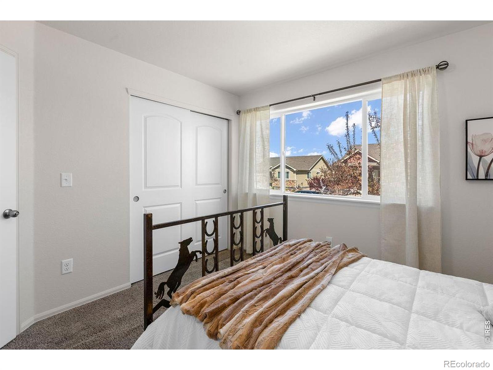 1113 Tur Street Severance CO 80550