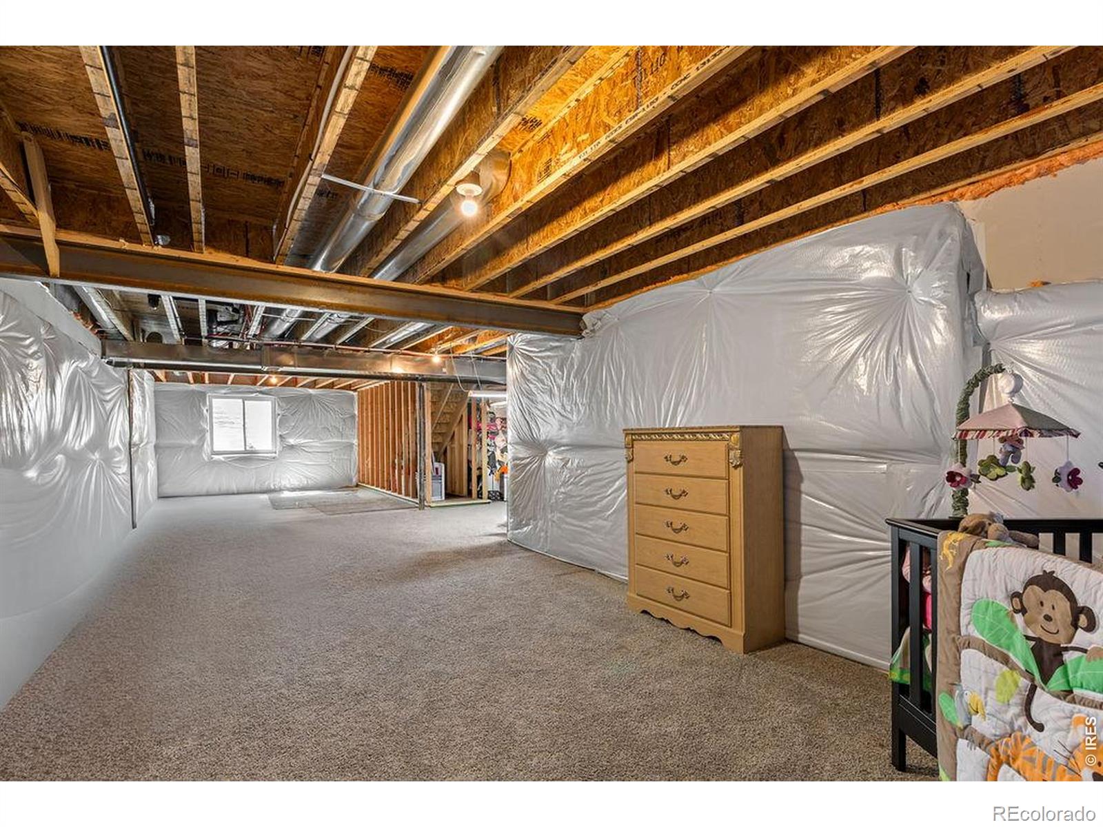 1113 Tur Street Severance CO 80550