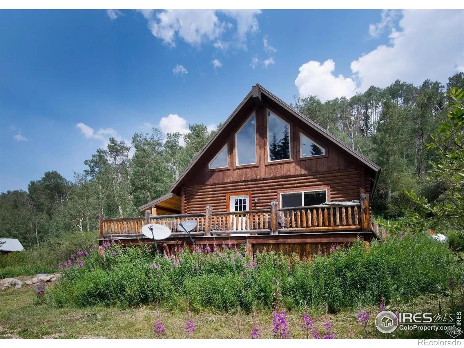 320 Mill Street Eagle CO 81631