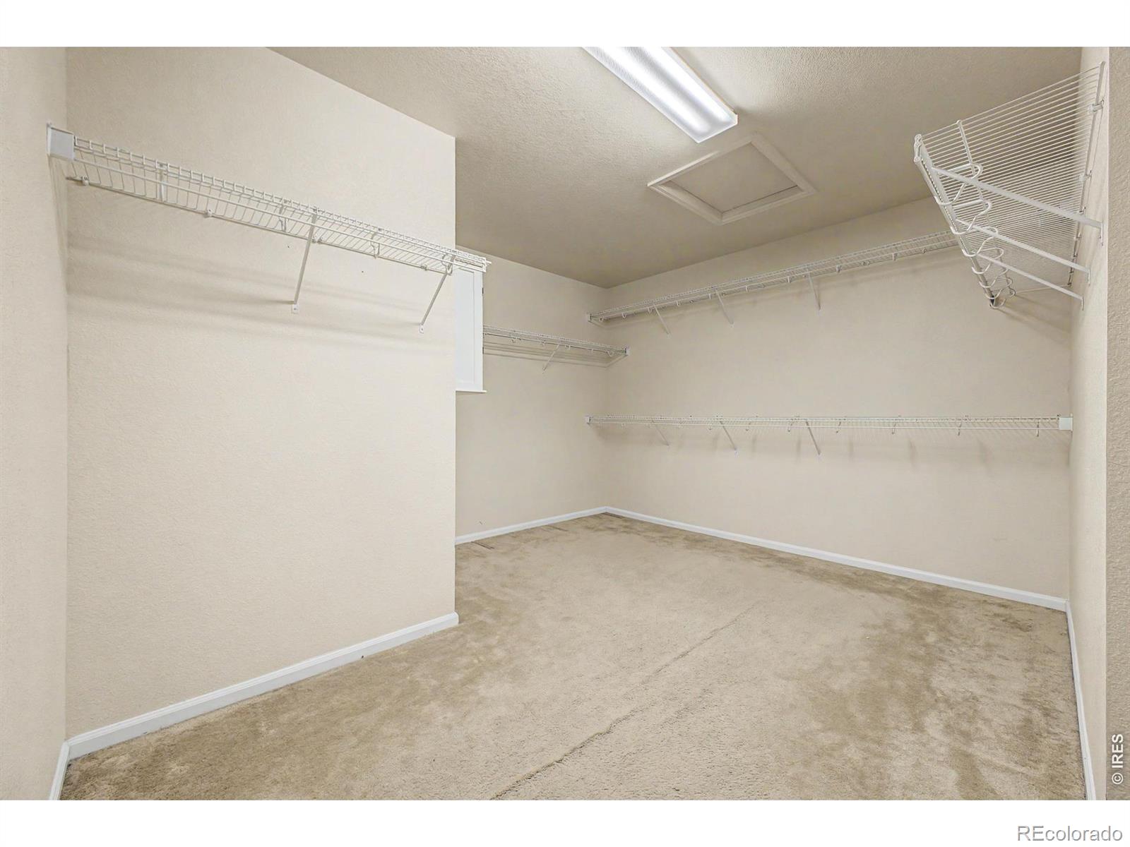 924 Mircos Street Erie CO 80516