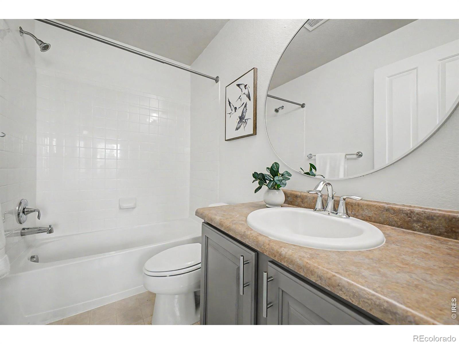 924 Mircos Street Erie CO 80516