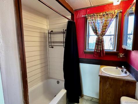 813 E 6th Street Leadville CO 80461