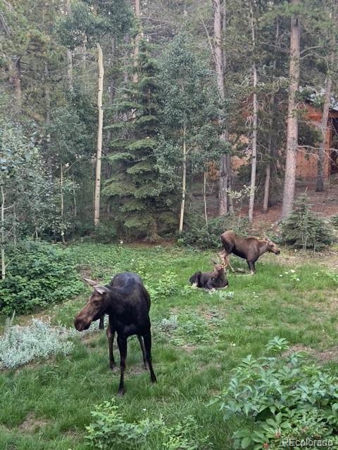 220 Timber Road Black Hawk CO 80422