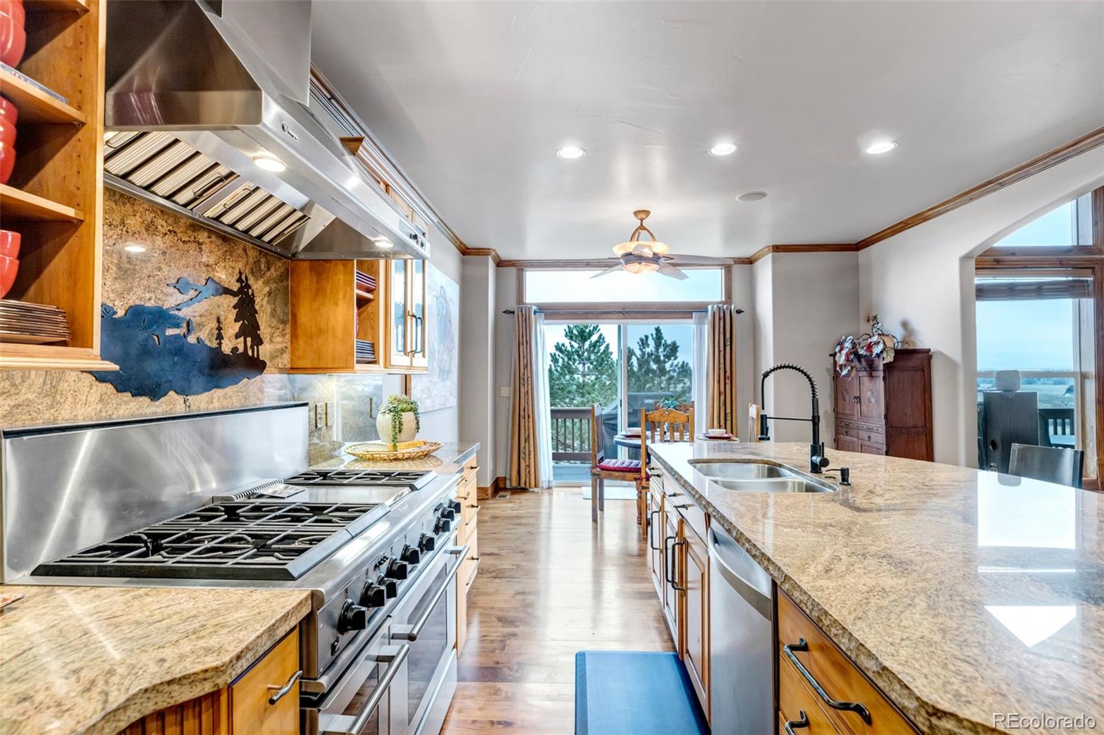3855 Mountain View Meadows Circle Parker CO 80107