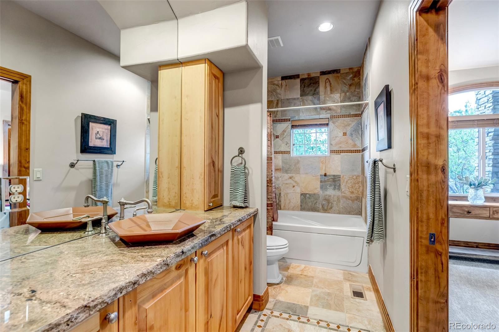 3855 Mountain View Meadows Circle Parker CO 80107
