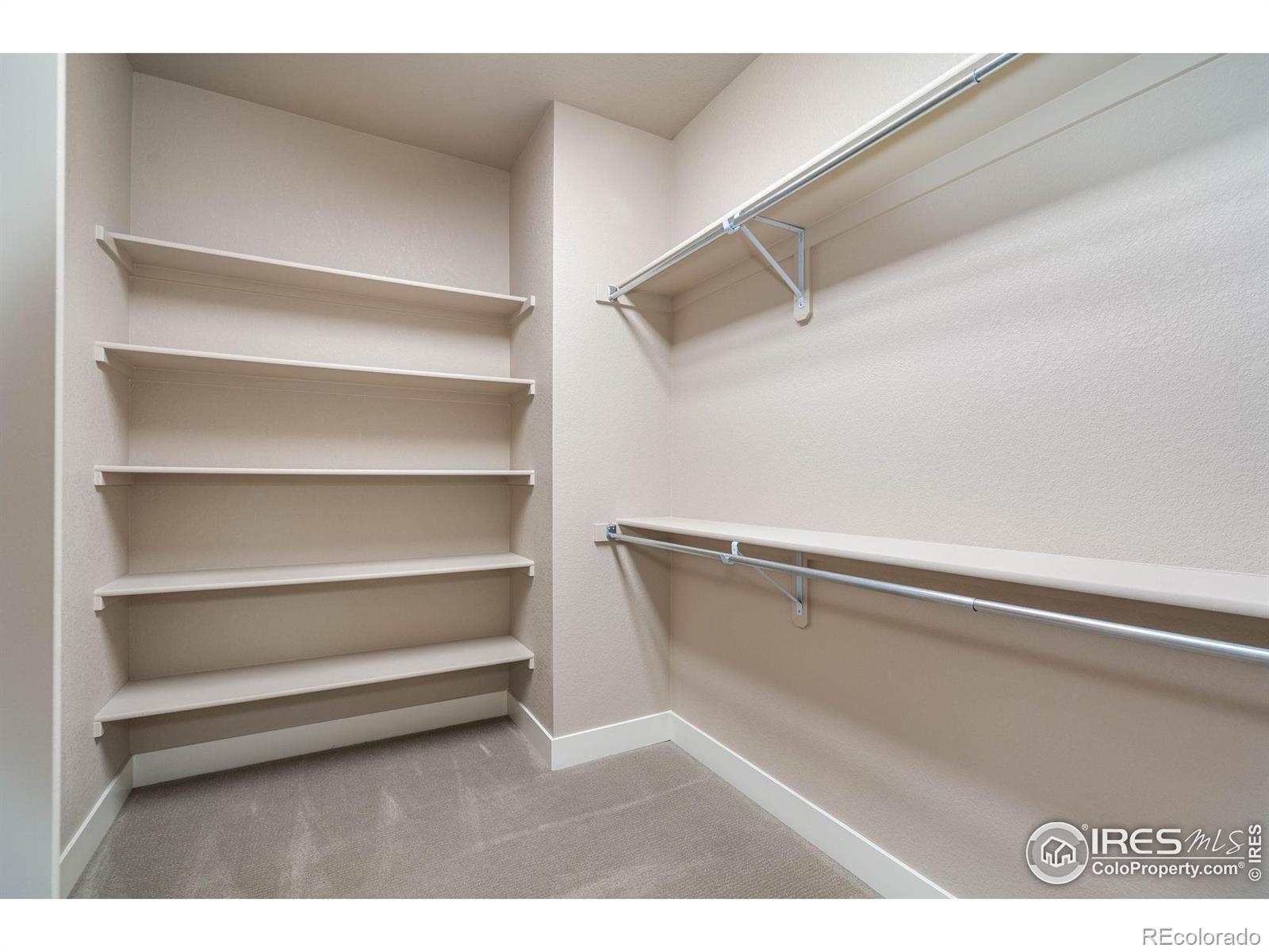 6928 Summerwind Court Timnath CO 80547