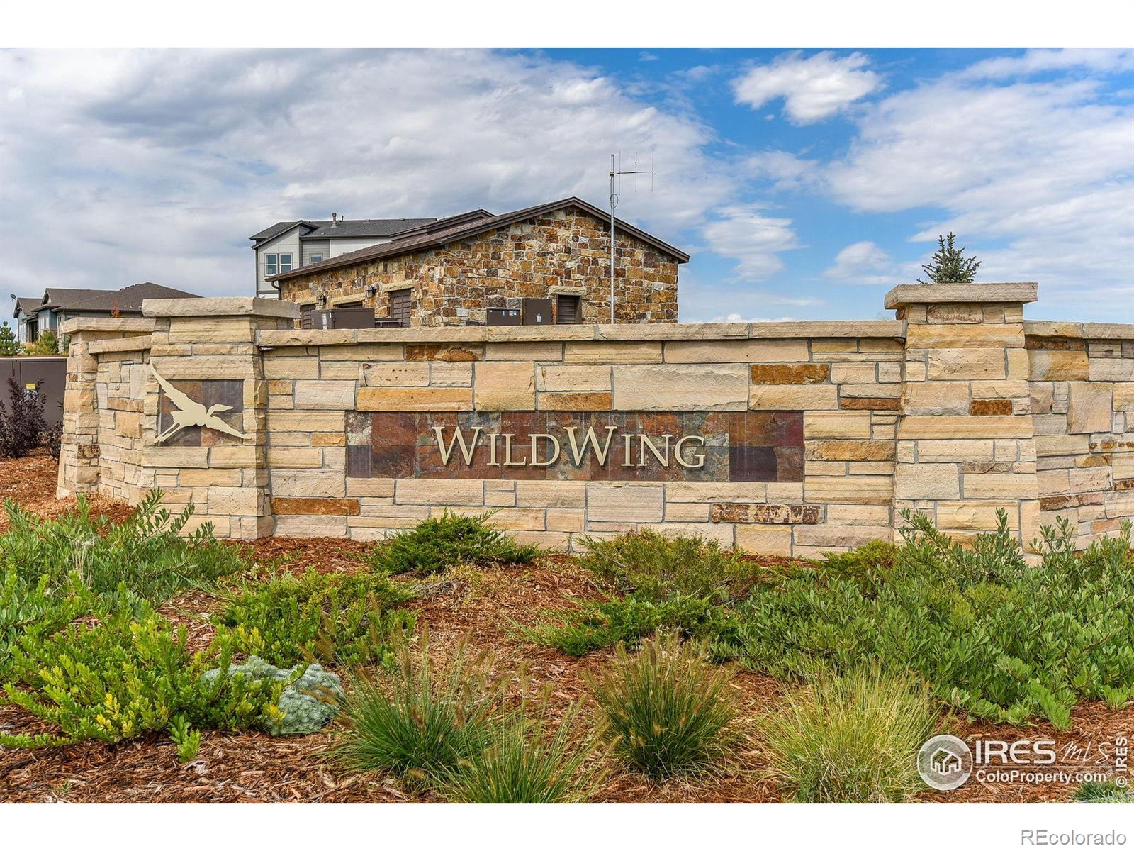 6928 Summerwind Court Timnath CO 80547