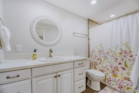 3222 Running Deer Drive Castle Rock CO 80109