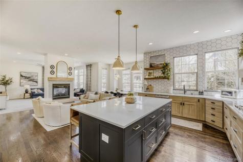 3222 Running Deer Drive Castle Rock CO 80109