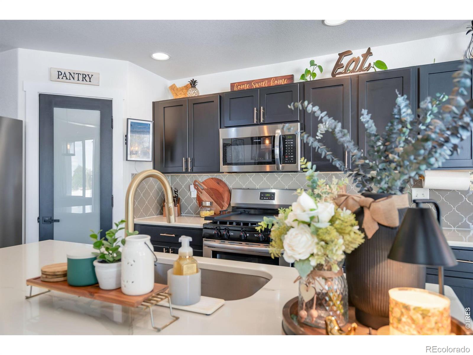 938 Scotch Pine Drive Severance CO 80550