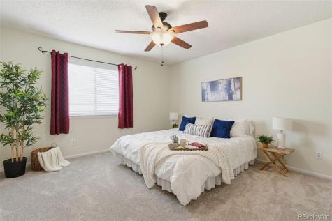 162 Tilbury Avenue Castle Rock CO 80104