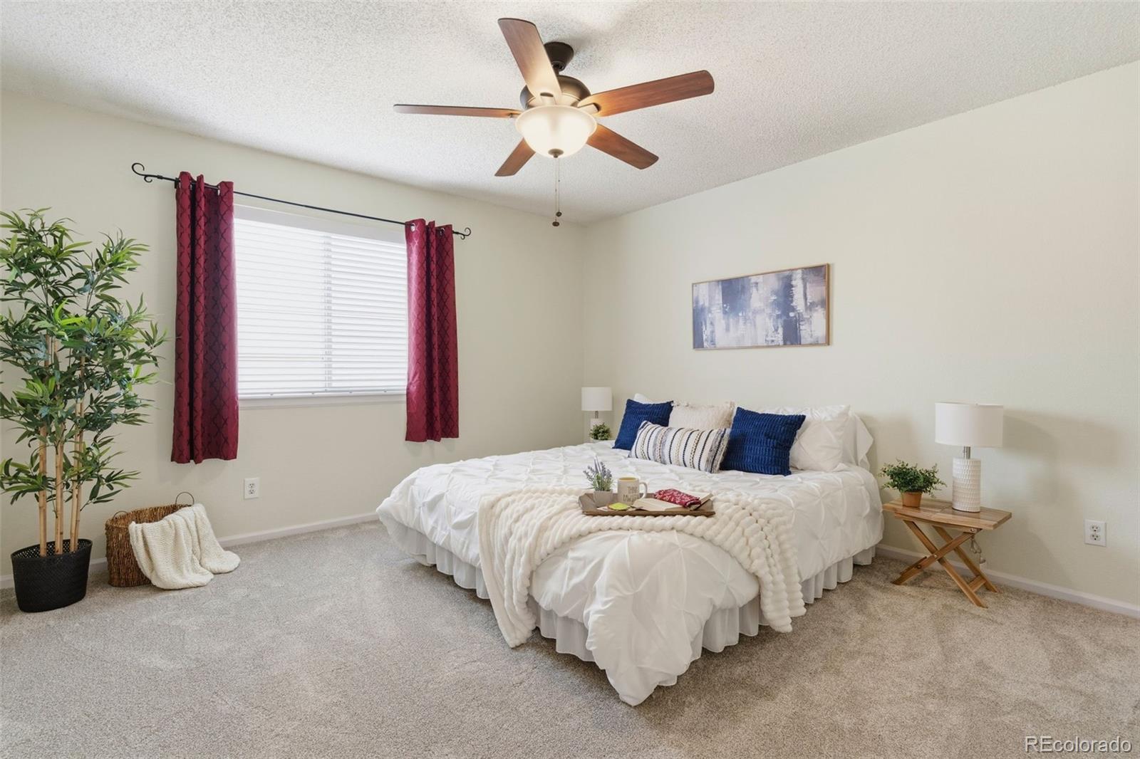 162 Tilbury Avenue Castle Rock CO 80104