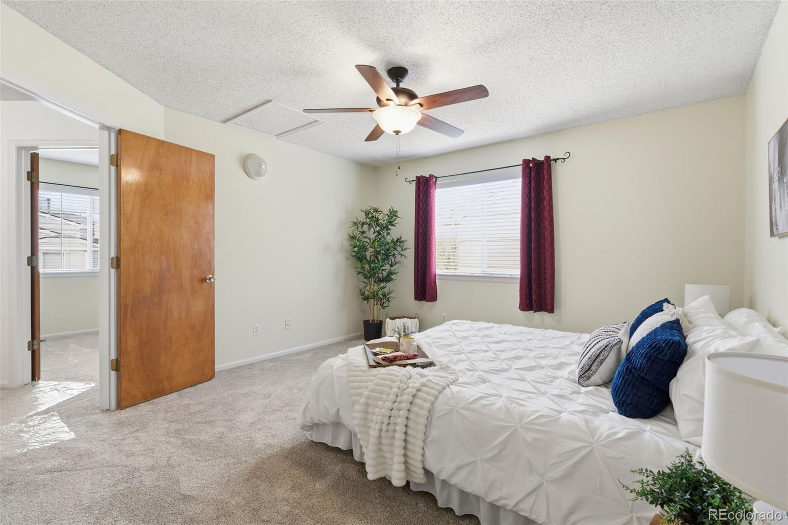 162 Tilbury Avenue Castle Rock CO 80104