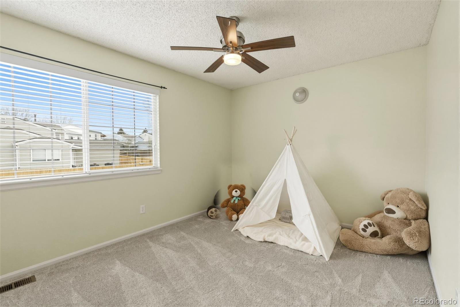 162 Tilbury Avenue Castle Rock CO 80104