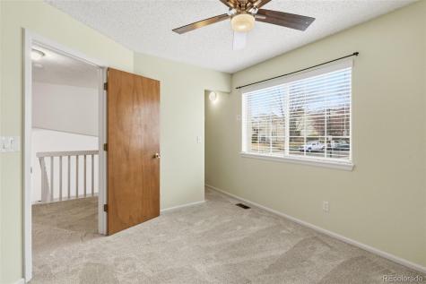 162 Tilbury Avenue Castle Rock CO 80104