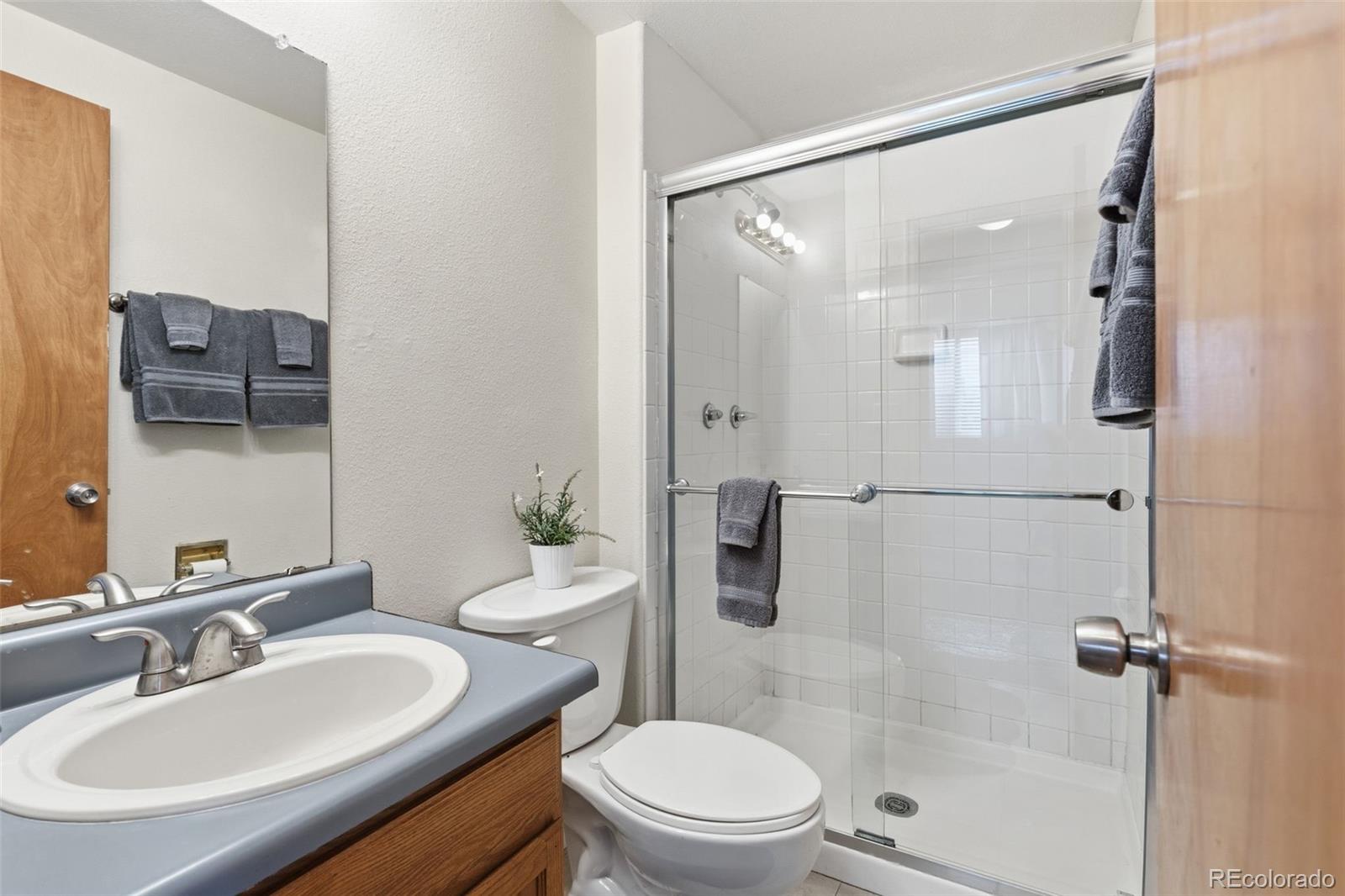 162 Tilbury Avenue Castle Rock CO 80104