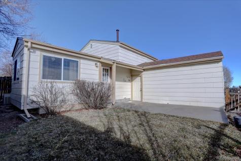 162 Tilbury Avenue Castle Rock CO 80104