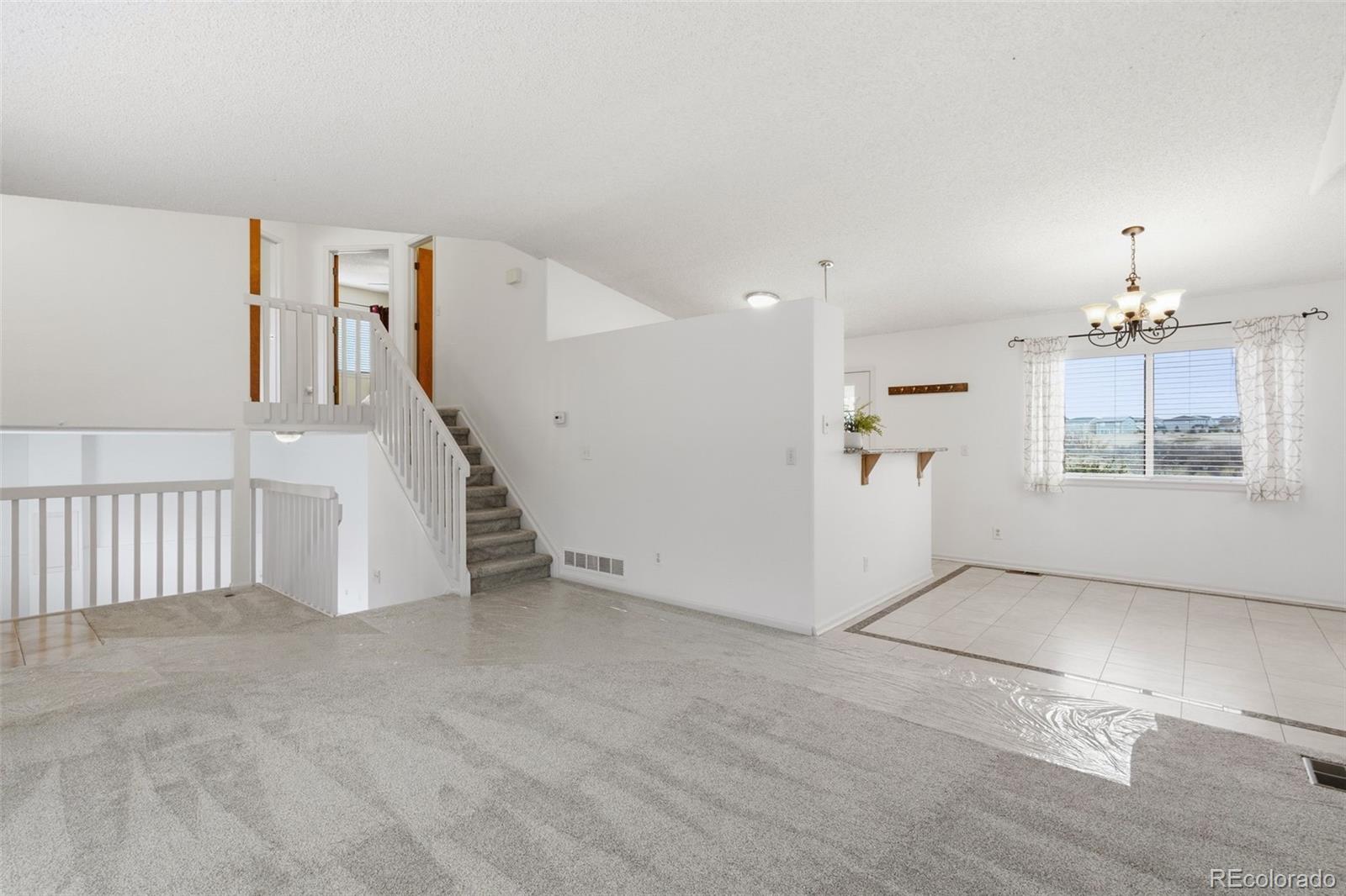 162 Tilbury Avenue Castle Rock CO 80104