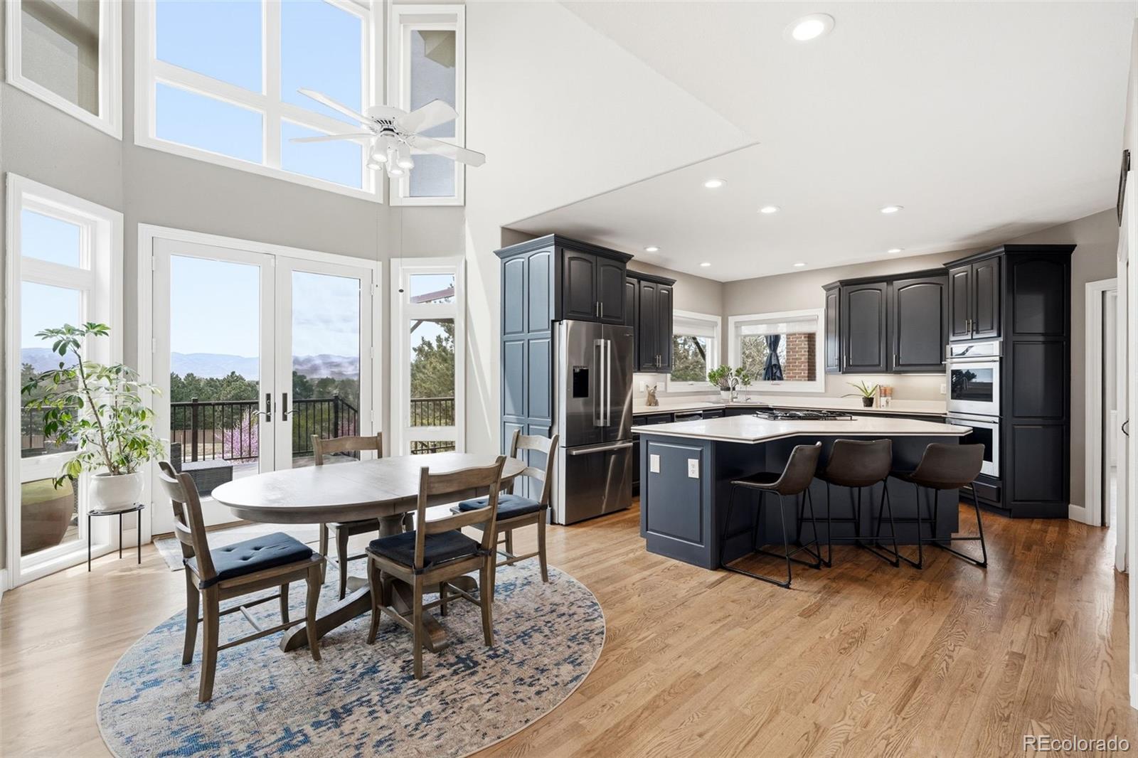 77 Falcon Hills Drive Highlands Ranch CO 80126