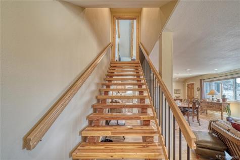 32900 County Road 371 Buena Vista CO 81211