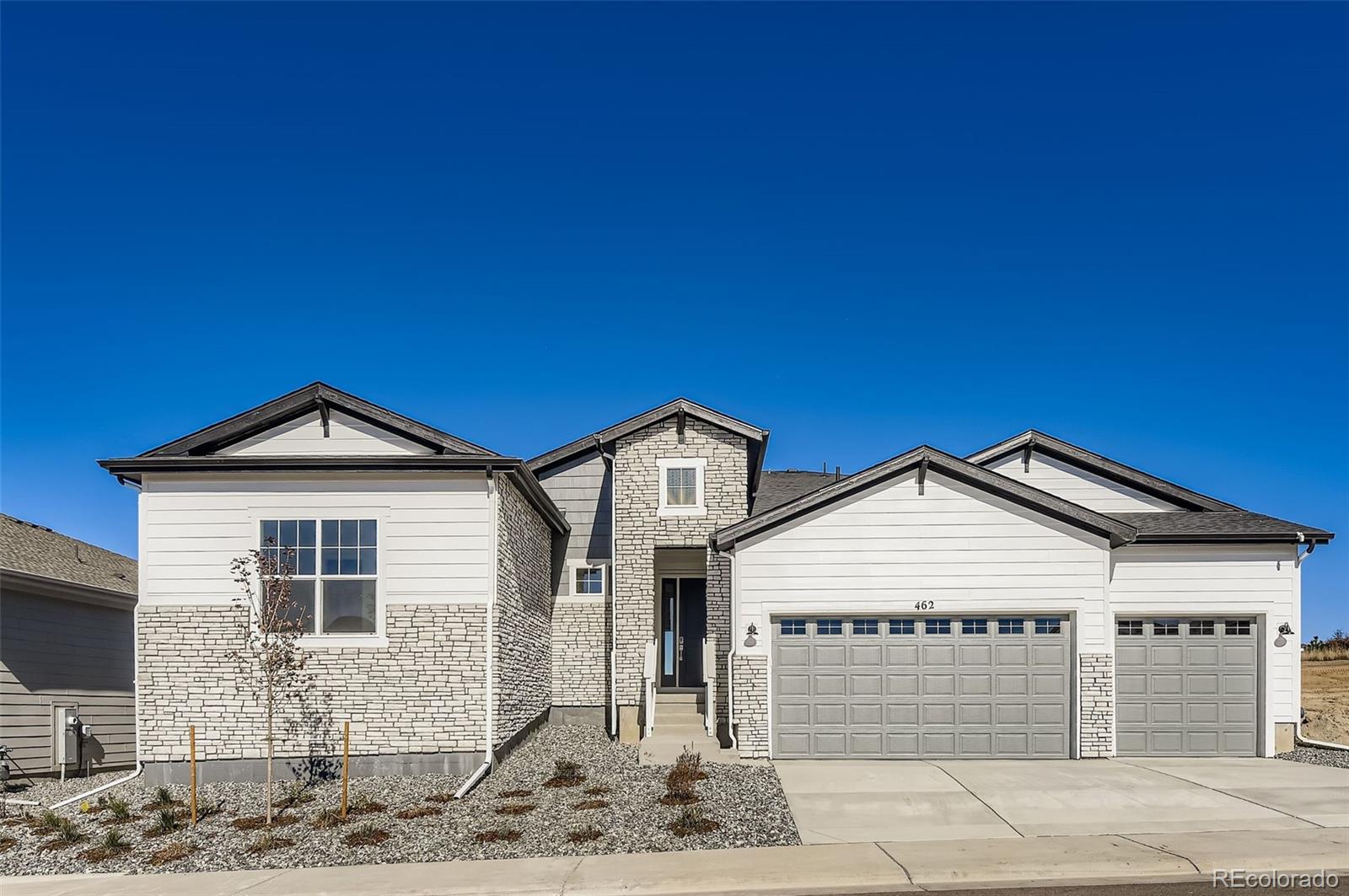 462 Agoseris Way Castle Rock CO 80104