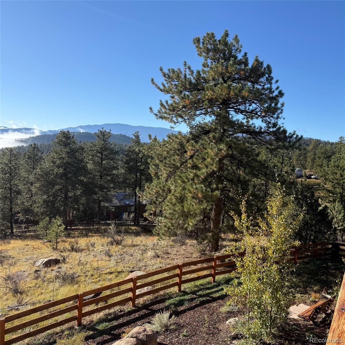 114 Star Lane Bailey CO 80421