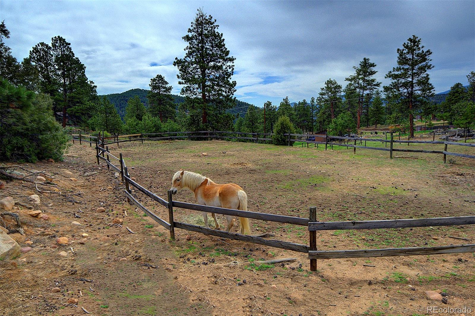 114 Star Lane Bailey CO 80421