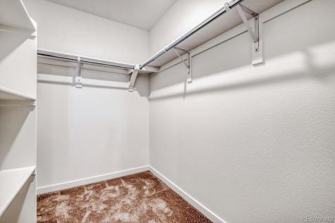 8922 Blue Feather Loop Colorado Springs CO 80908