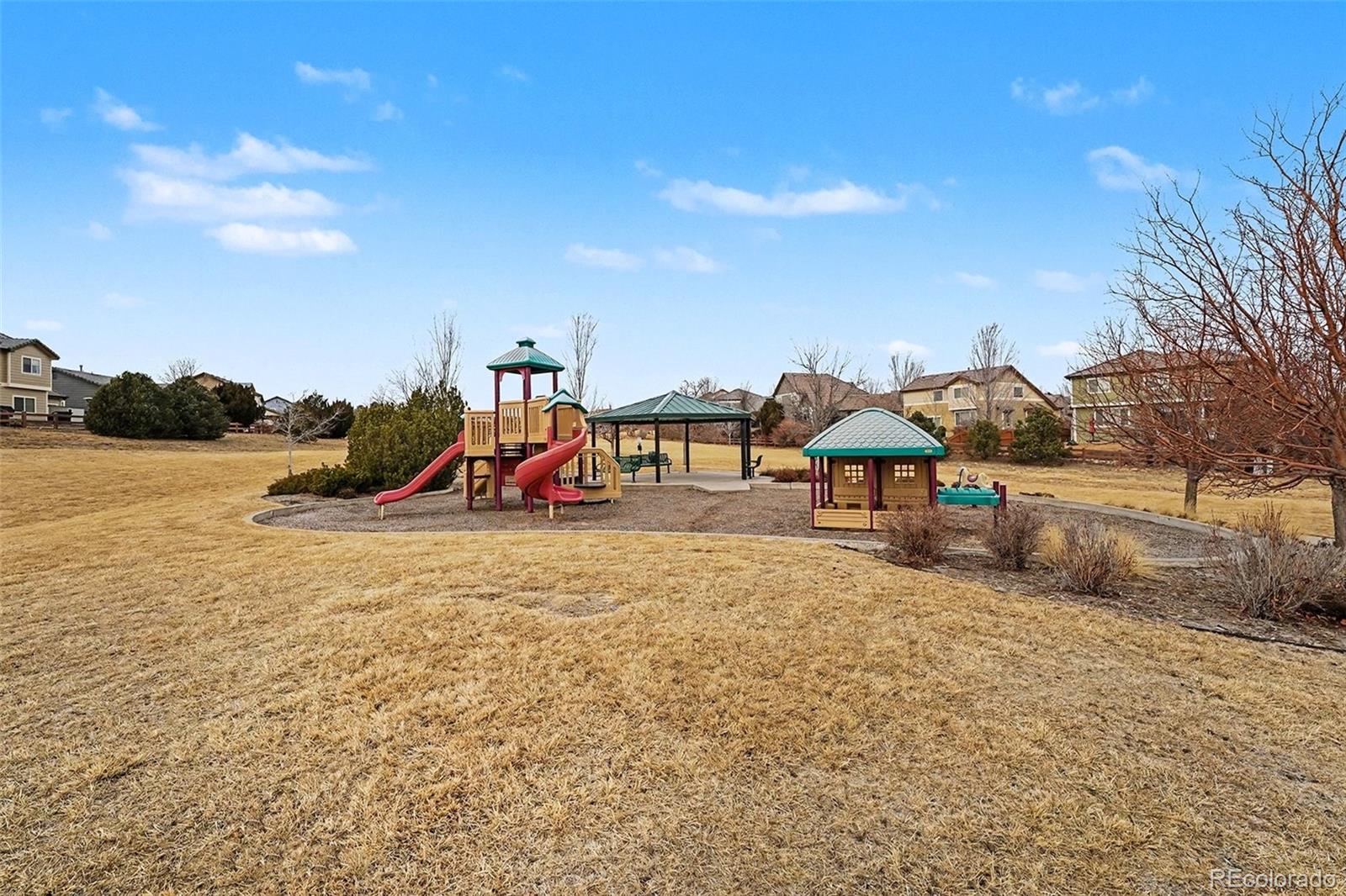 16787 E Black Horn Drive Parker CO 80134