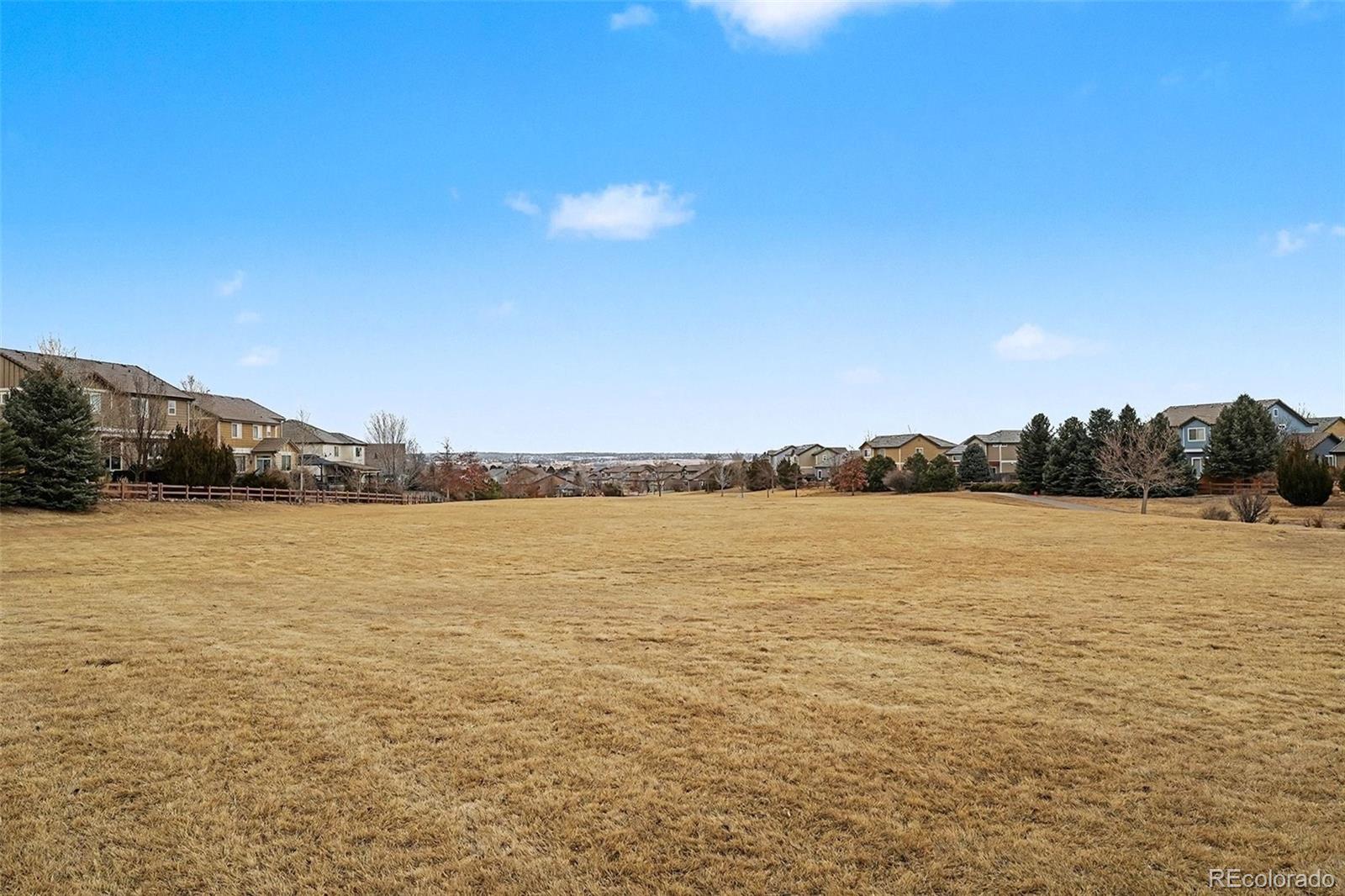 16787 E Black Horn Drive Parker CO 80134