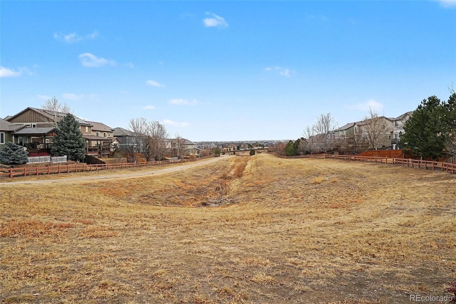 16787 E Black Horn Drive Parker CO 80134