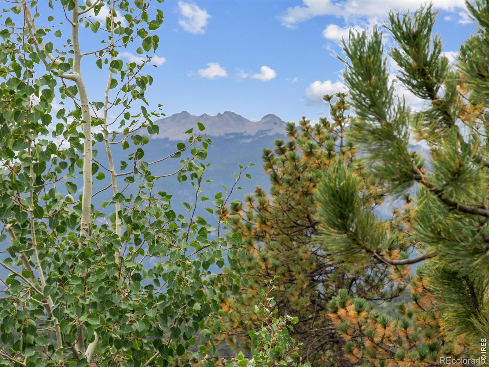 557 Grand Estates Drive Estes Park CO 80517