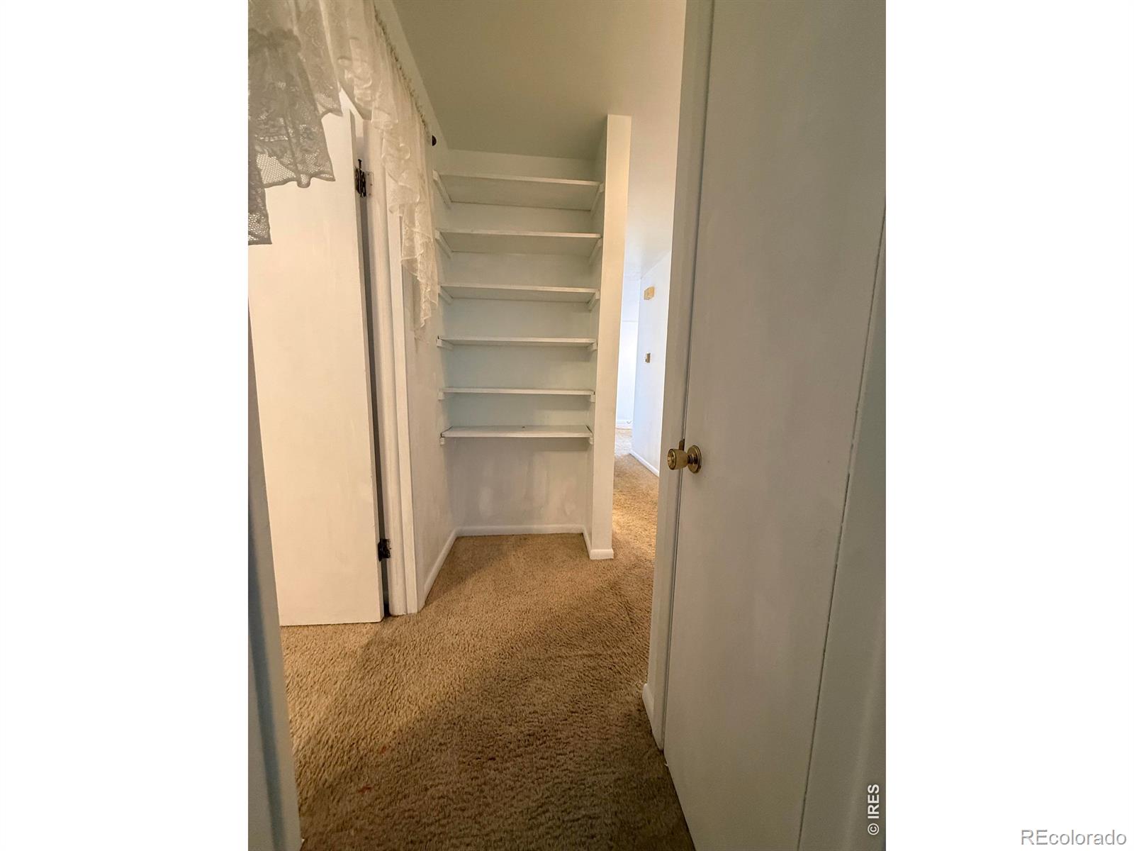 3512 Montrose Street Evans CO 80620