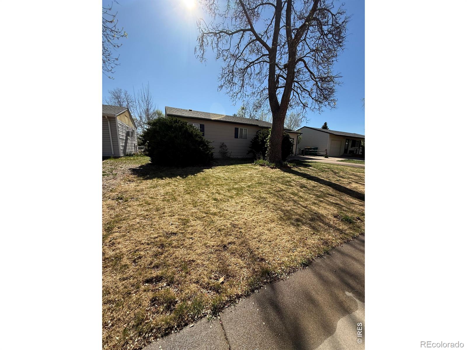 3512 Montrose Street Evans CO 80620