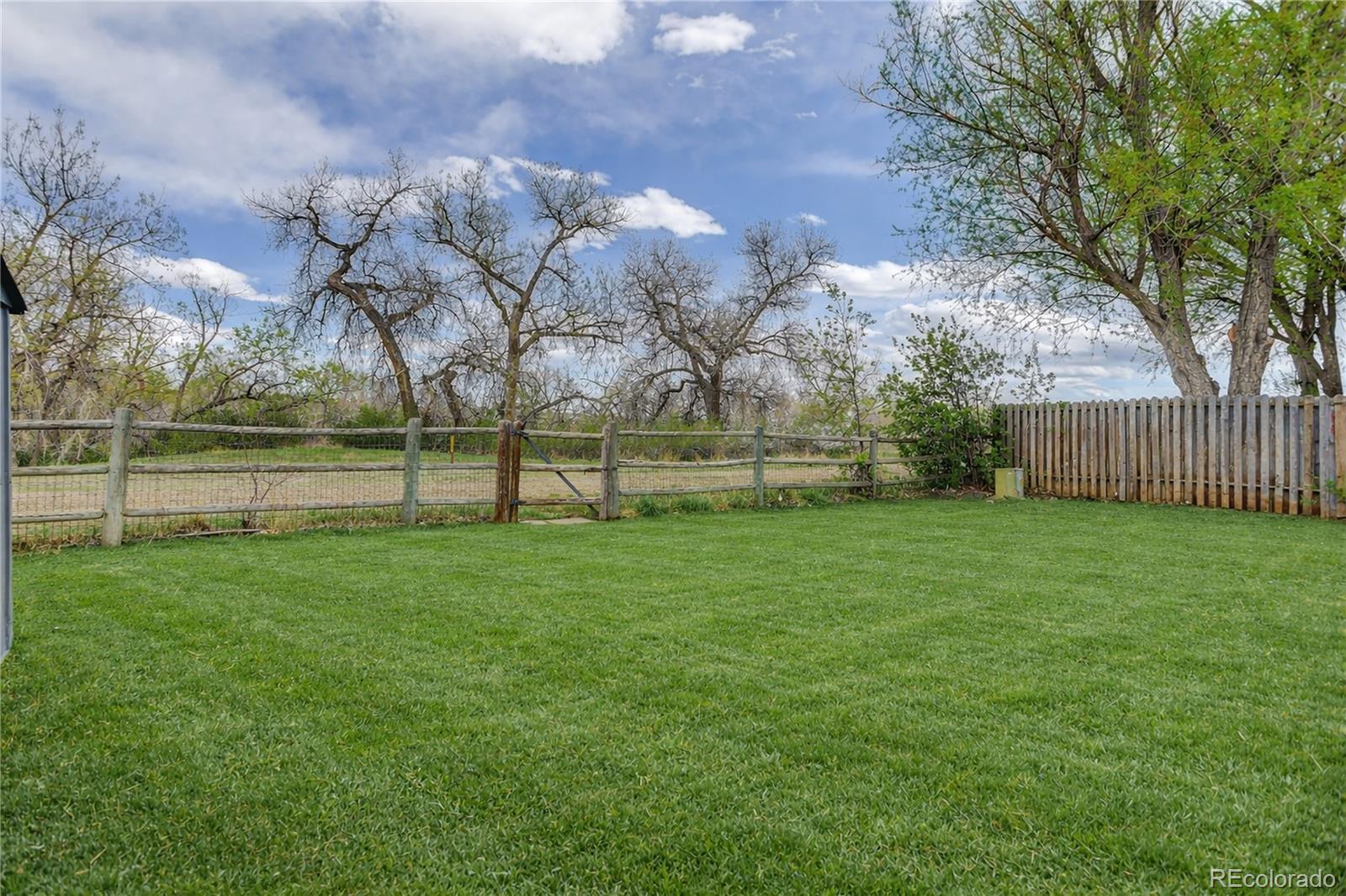 8396 Wheatgrass Circle Parker CO 80134