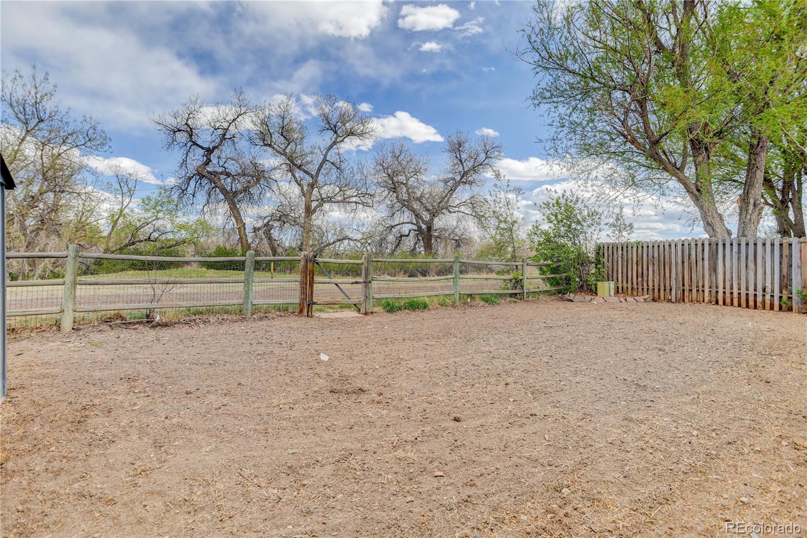 8396 Wheatgrass Circle Parker CO 80134
