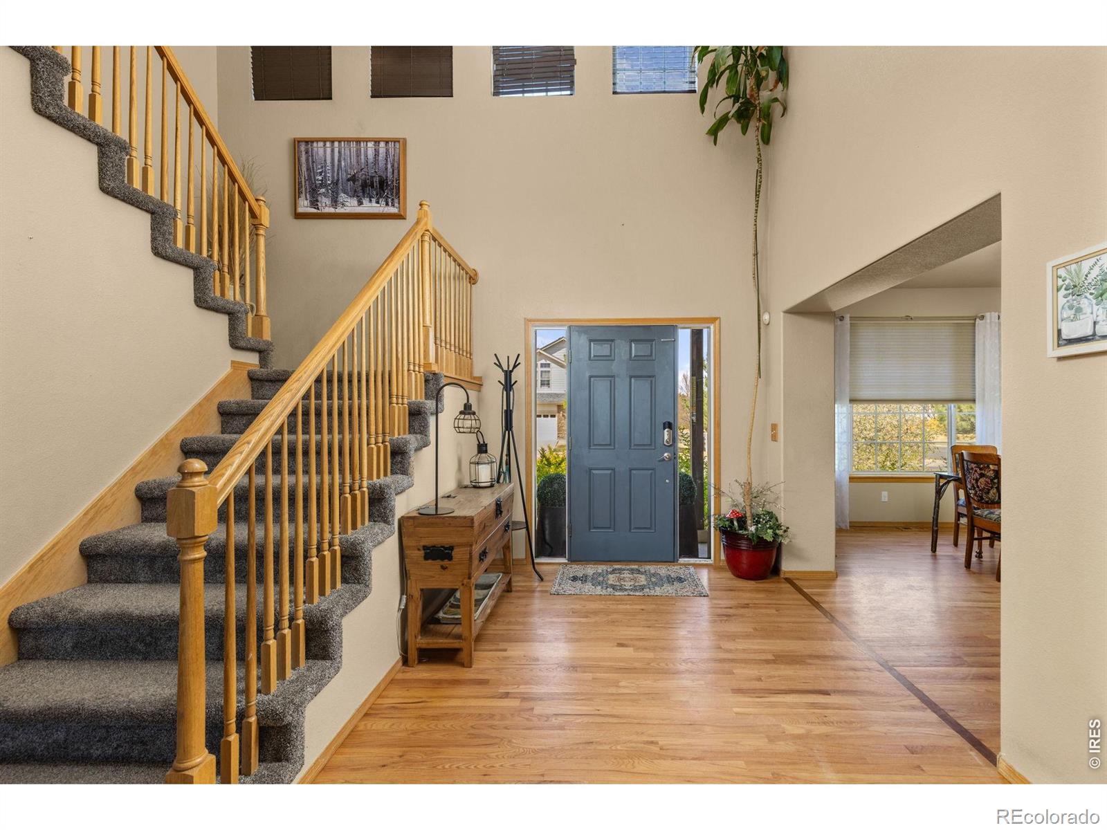 2248 Black Duck Avenue Johnstown CO 80534
