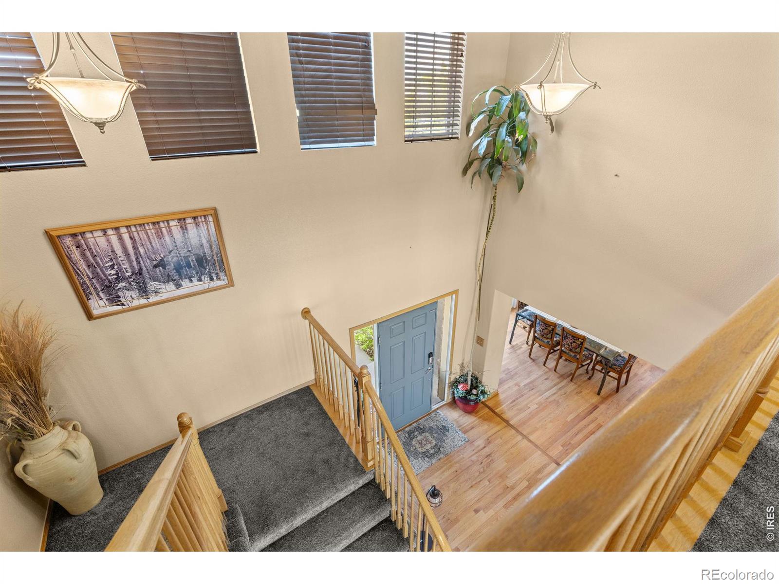 2248 Black Duck Avenue Johnstown CO 80534