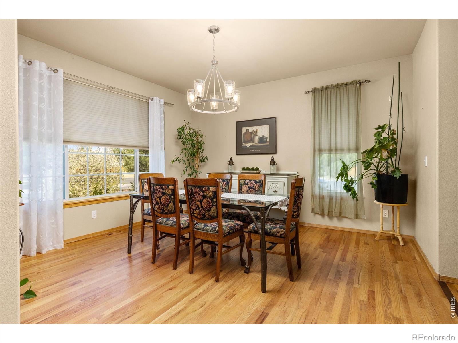 2248 Black Duck Avenue Johnstown CO 80534