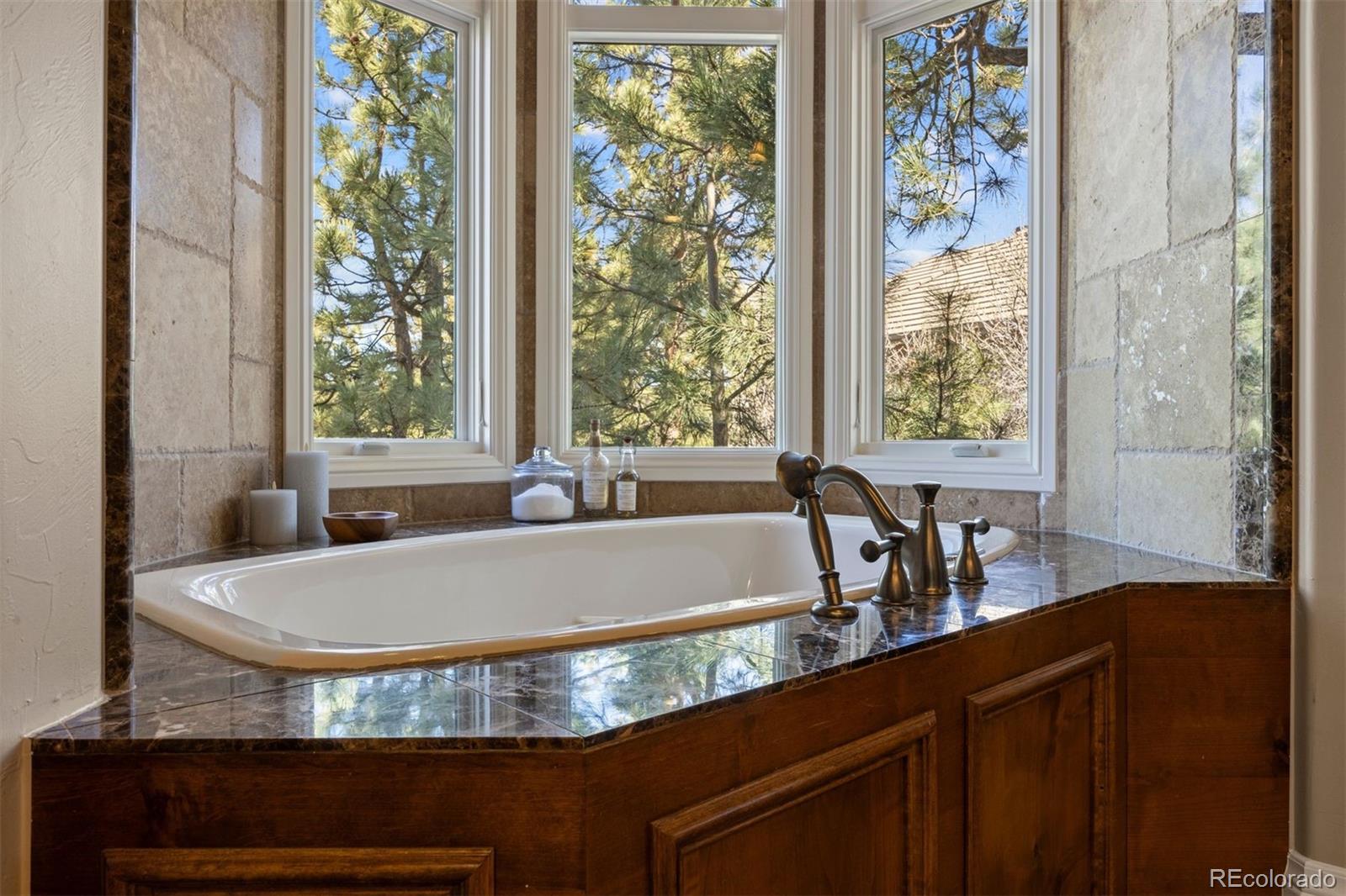 674 Red Pass Lane Castle Rock CO 80108