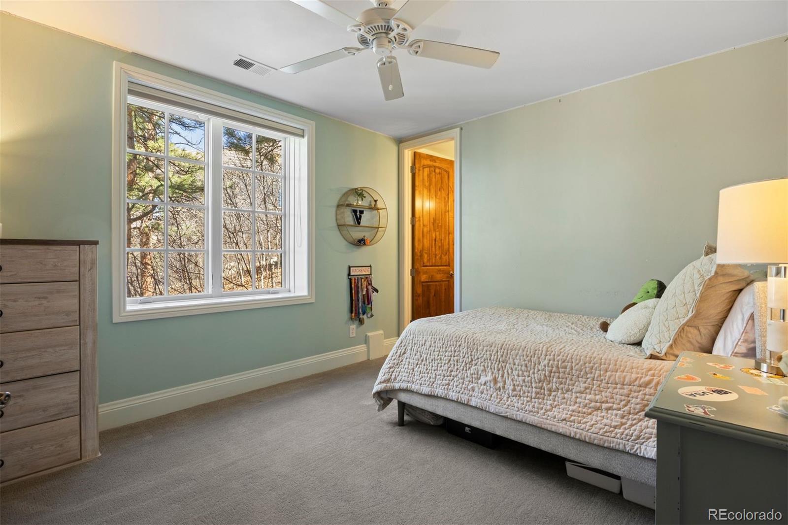 674 Red Pass Lane Castle Rock CO 80108