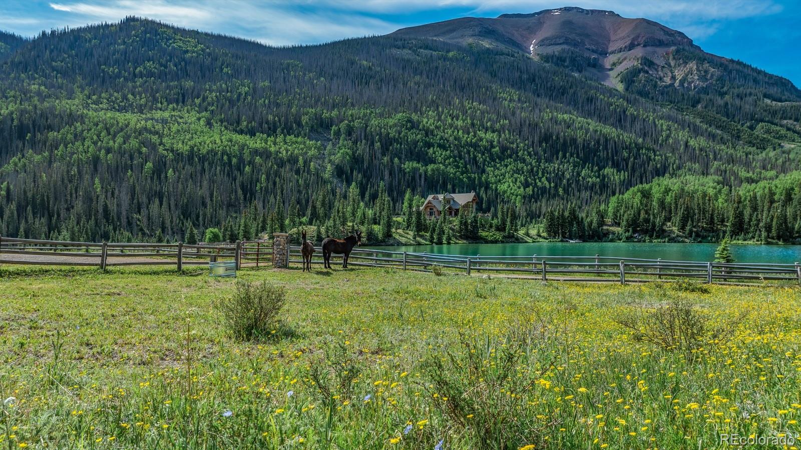2418 Forest Road 526 Creede CO 81130