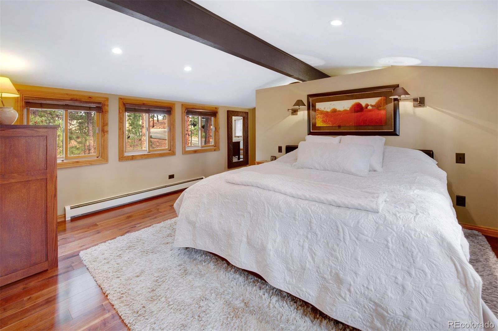 29310 Buchanan Drive Evergreen CO 80439