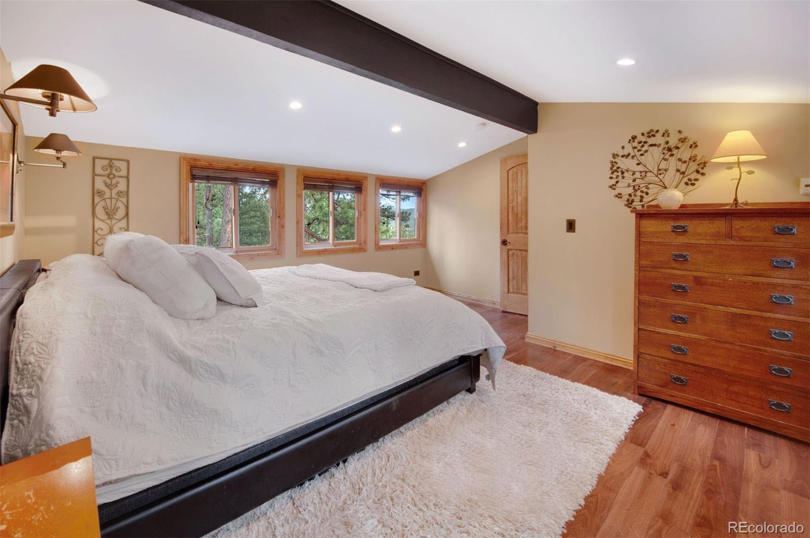 29310 Buchanan Drive Evergreen CO 80439