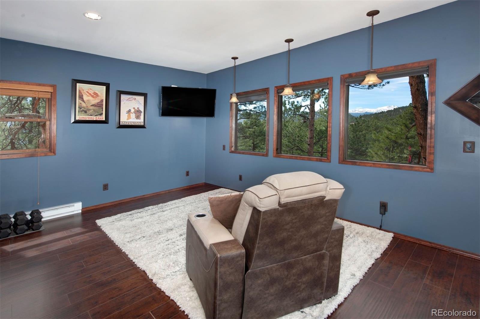 29310 Buchanan Drive Evergreen CO 80439