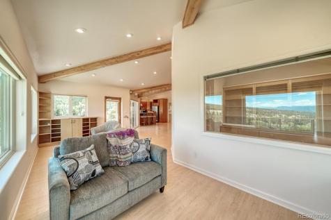 37643 Lake View Drive Buena Vista CO 81211