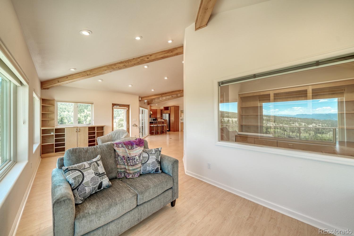 37643 Lake View Drive Buena Vista CO 81211